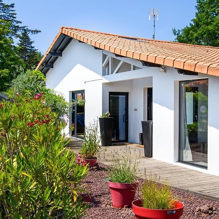 Landescape Ocean, Lacs Et Foret. Biscarrosse Exterior photo